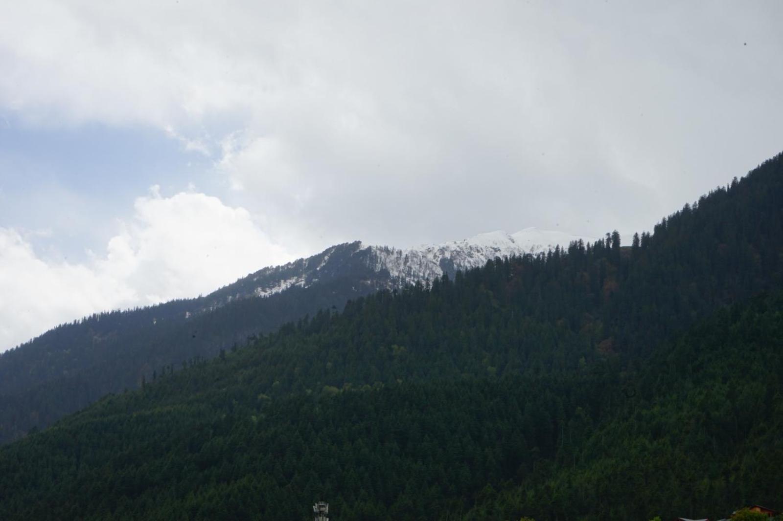 Hotel Magnolia Mallroad Manali Eksteriør billede